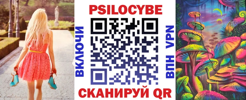 Псилоцибиновые грибы Psilocybe  сайты даркнета какой сайт  Вичуга 